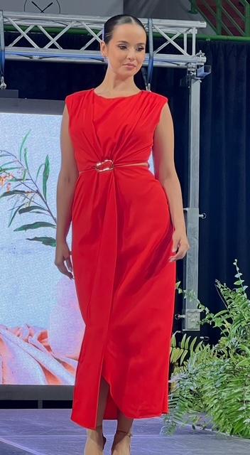 ELEGANT DRESS
